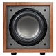 CS800 8" 150W Actieve Subwoofer Wood