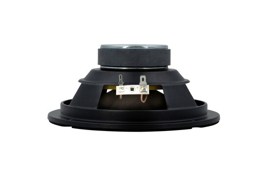 Poly Cone Woofer Medio-Bassi