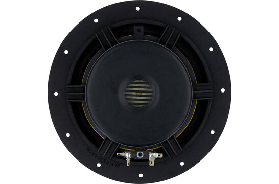 Swan F8 Woofer Medio-Bassi
