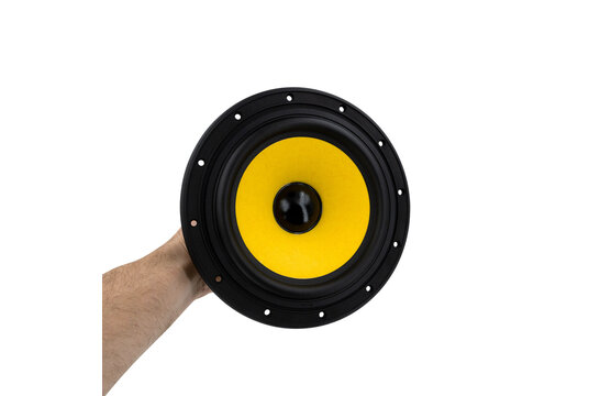 Swan F8 Bass-midwoofer