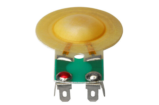 RPDT175Ph Replacement Diaphragm