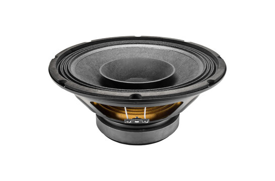 10FR300 Full-range Woofer