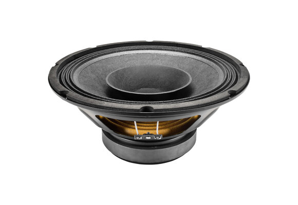 10FR300 Full-range Woofer