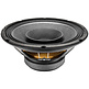 10FR300 Full-range Woofer