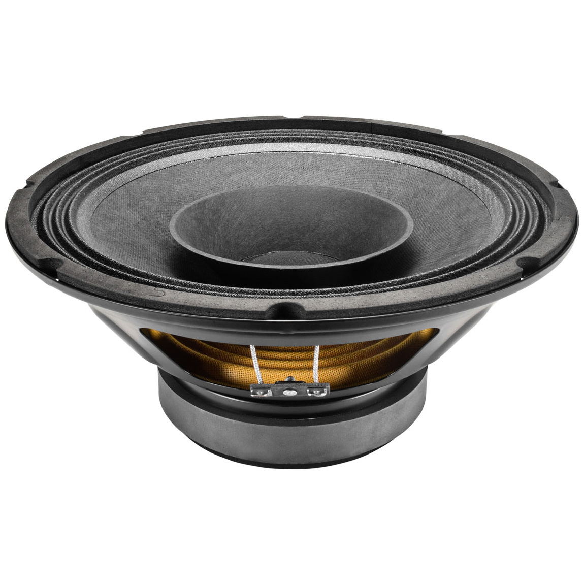 10FR300 Full-range Woofer