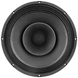 10FR300 Full-range Woofer