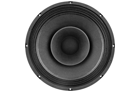 10FR300 Full-range Woofer