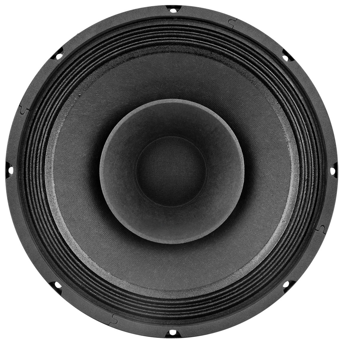 10FR300 Full-range Woofer