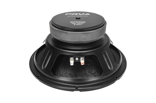 10FR300 Full-range Woofer