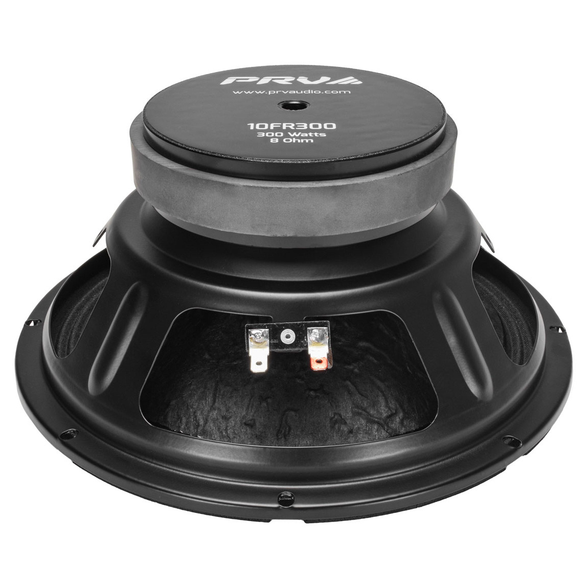 10FR300 Full-range Woofer
