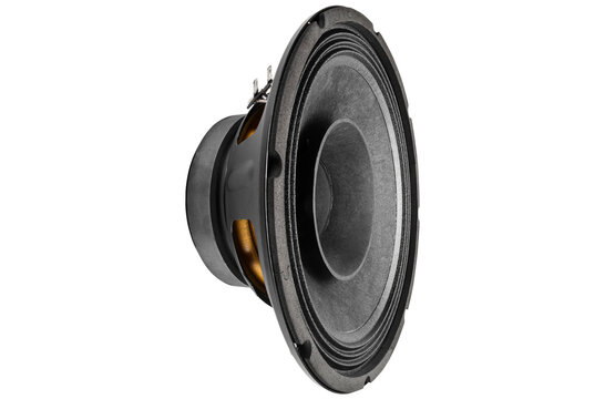 10FR300 Full-range Woofer