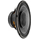 10FR300 Full-range Woofer