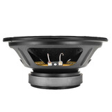 10FR300 Full-range Woofer