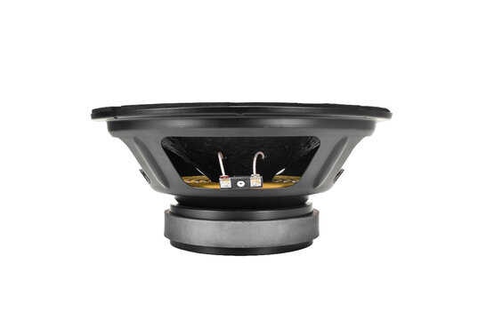 10FR300 Full-range Woofer