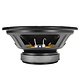 10FR300 Full-range Woofer