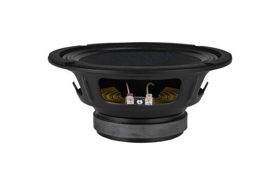 8FR250 Full-range Woofer