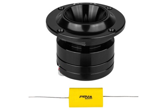 TW450Ti-Nd-4 Bullet Super Tweeter