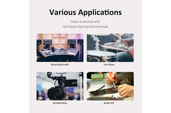 AA-AA11432 ADP-XAI Analog Input Audio Distribution Panel XLR / 6.35mm 1/4" TRS Stereo Female Connector