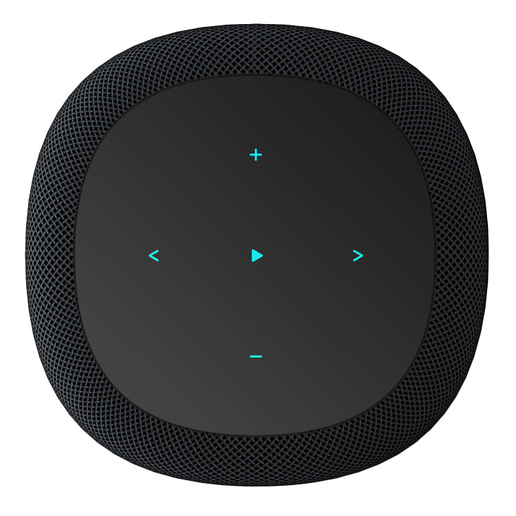 Sound Smart Speaker Black