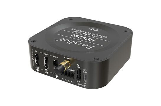 BerryBak HEV250 Stereo Verstärker