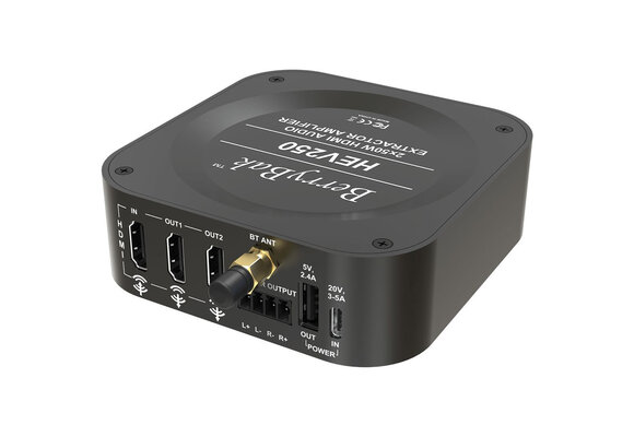 BerryBak HEV250 Stereo-Verstärker