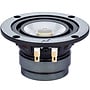 Alpair-5G Glass Full-Range Woofer