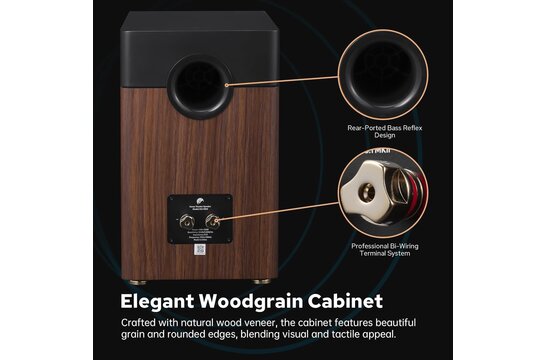 Swan D3.1-MKII Bookshelf Speakers