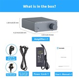 V1.0G Amplificatore Stereo TPA3116D2 Grey