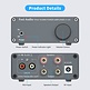 V1.0G Amplificatore Stereo TPA3116D2 Grey