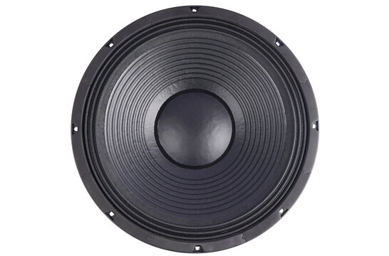 BIANCO-15SW600 Subwoofer