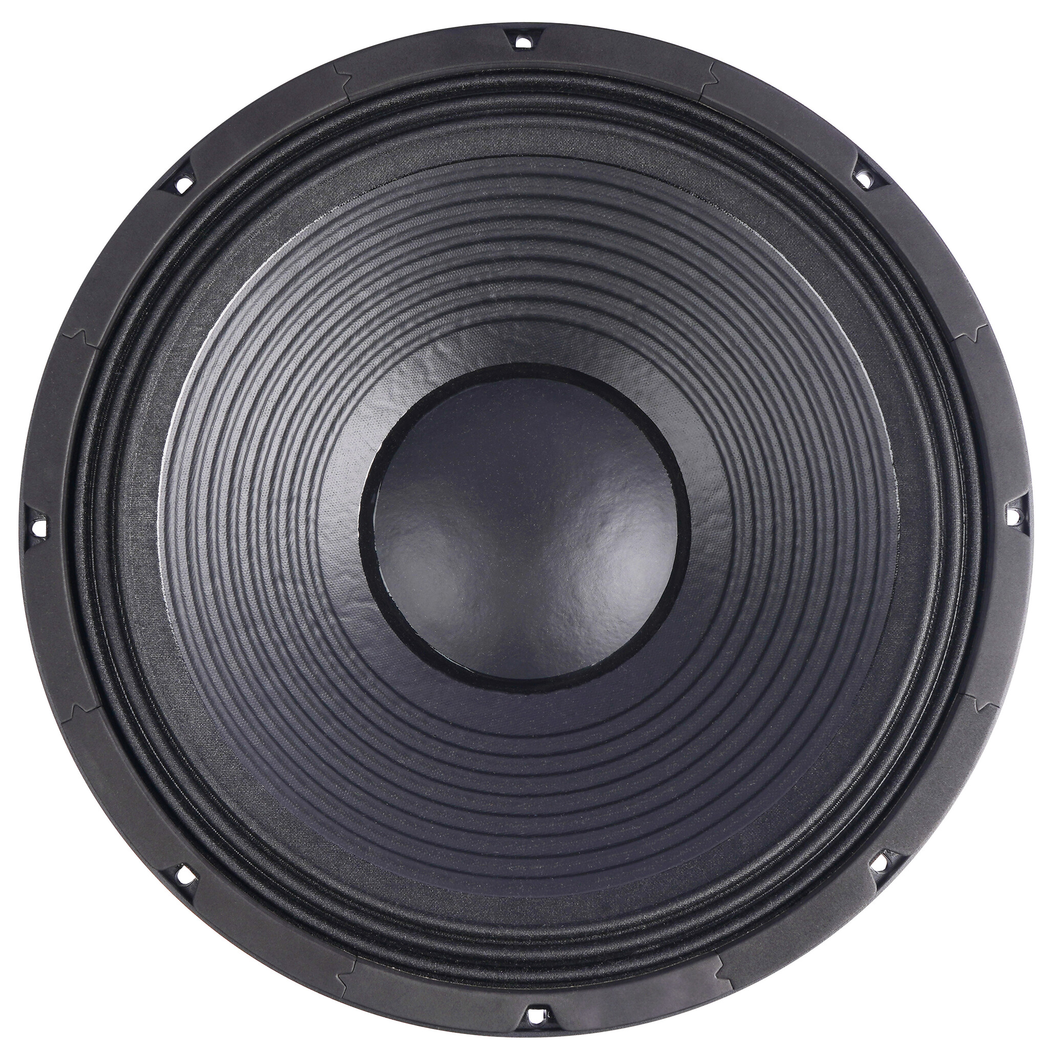 BIANCO-15SW600 Subwoofer