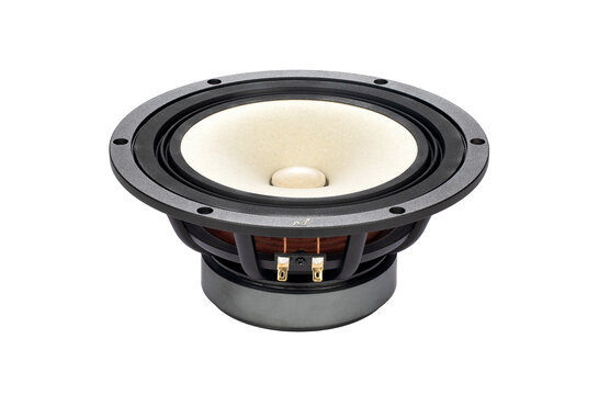 MA200‑P MICA 8" Full-Range Driver 8 Ohm