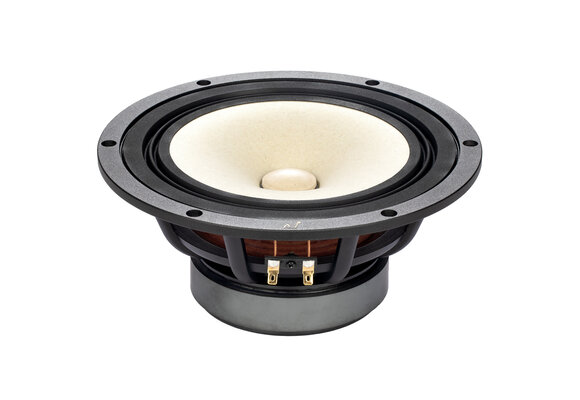 MA200‑P MICA Full-range Driver