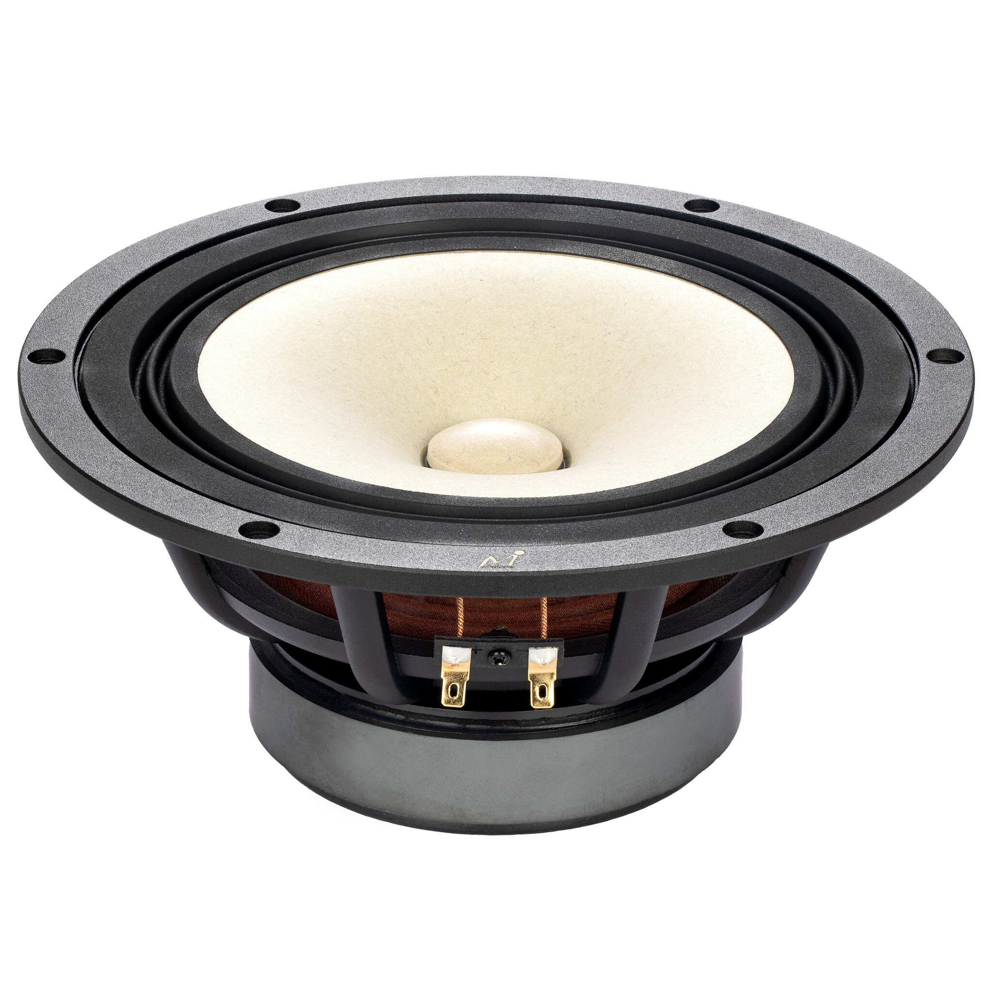 MA200‑P MICA 8" Full-Range Driver 8 Ohm