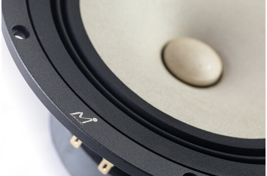 MA200‑P MICA 8" Full-Range Driver 8 Ohm