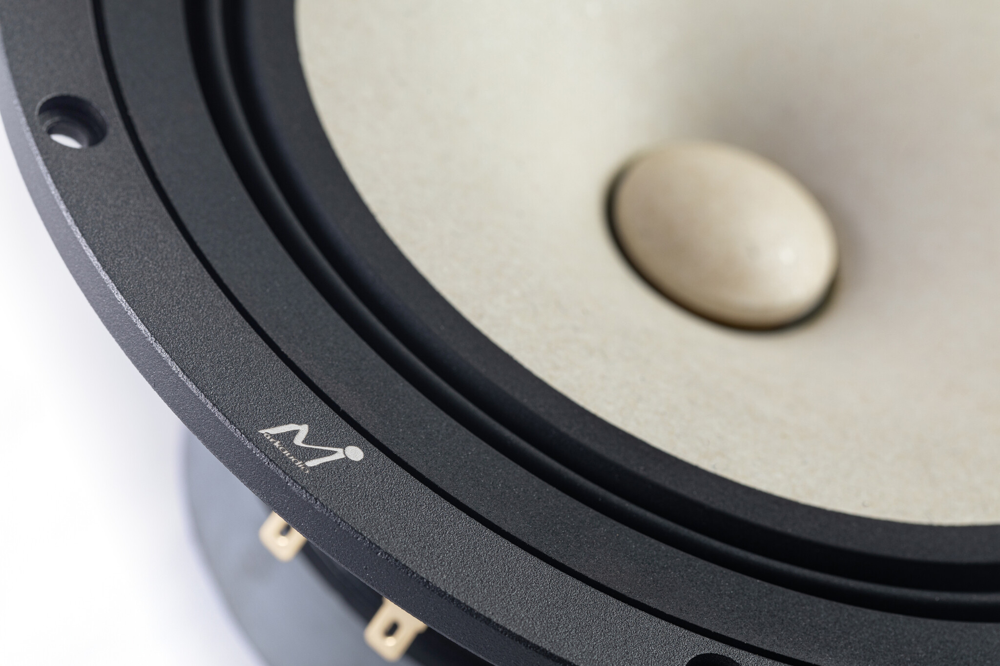 MA200‑P MICA 8" Full-Range Driver 8 Ohm