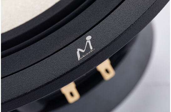 MA200‑P MICA 8" Full-Range Driver 8 Ohm