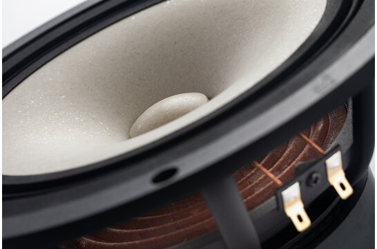 MA200‑P MICA 8" Full-Range Driver 8 Ohm