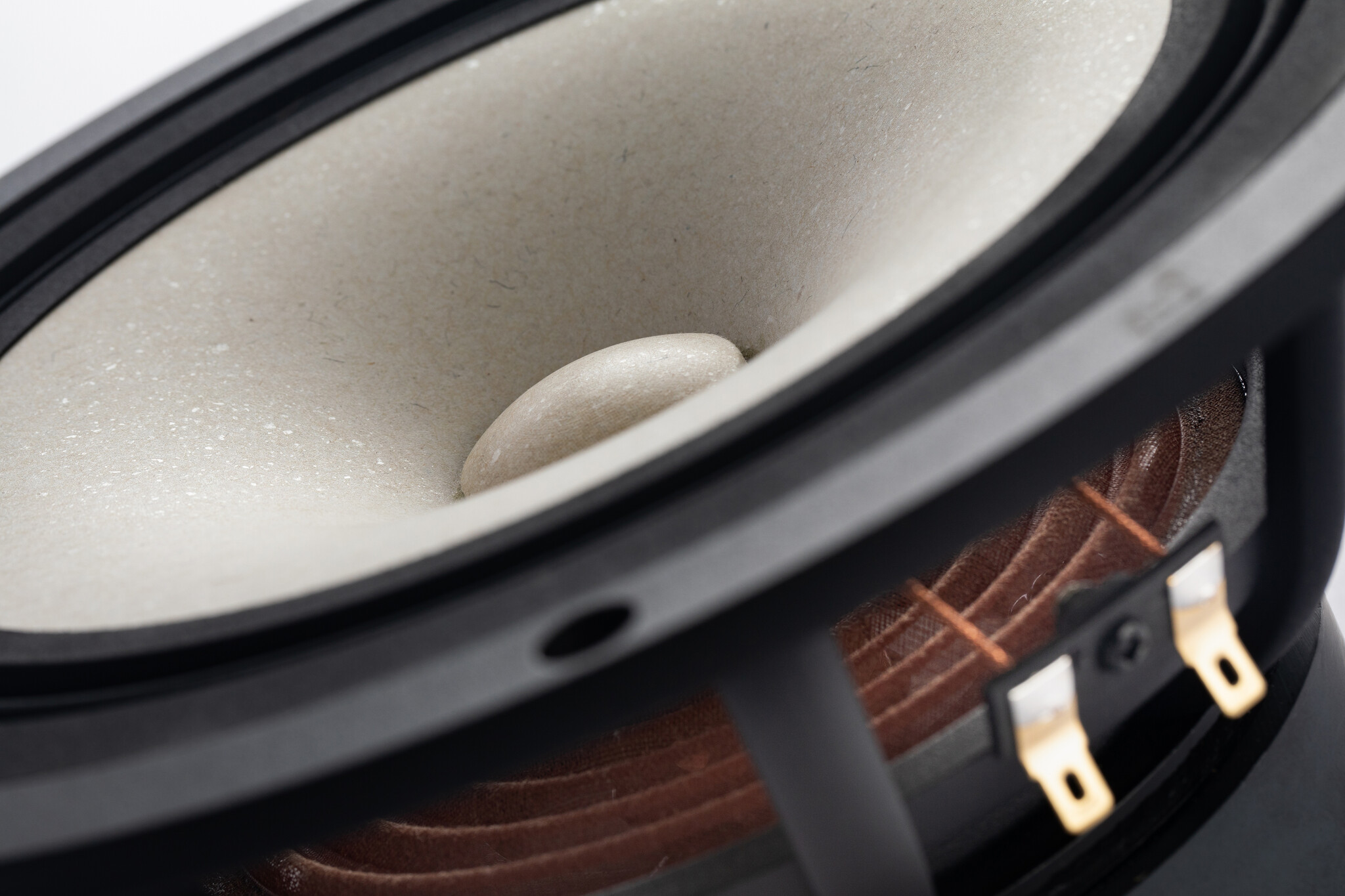 MA200‑P MICA 8" Full-Range Driver 8 Ohm