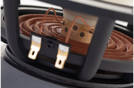 MA200‑P MICA 8" Full-Range Driver 8 Ohm