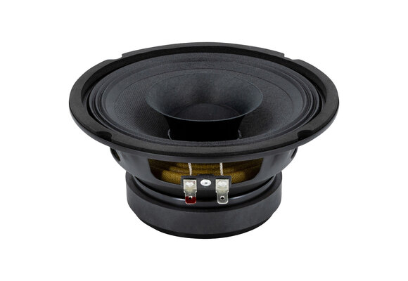 6FR200 Full-range Woofer