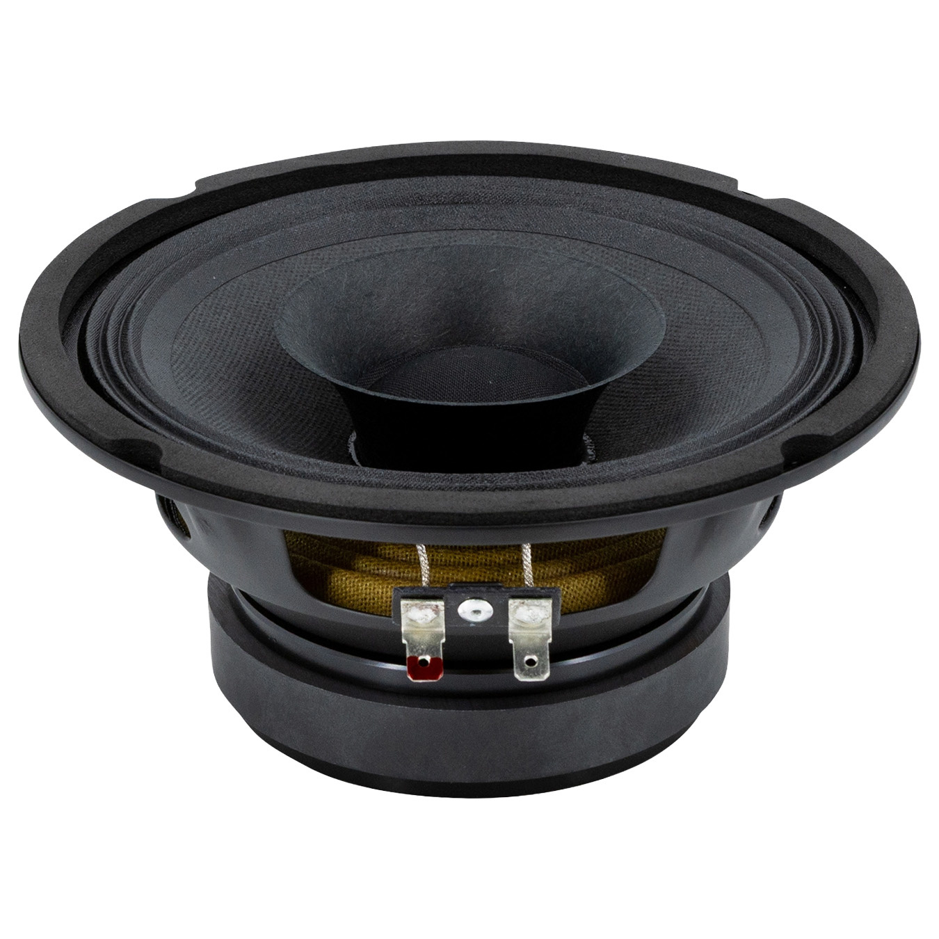 6FR200 Full-range Woofer
