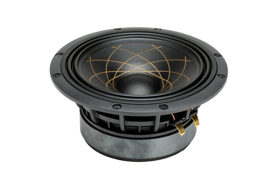 W 174.38 Fibonacci 6.5" Bass-mid woofer