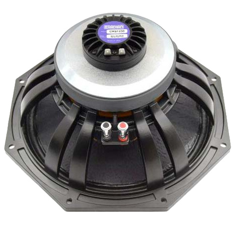 12CRF6430 12" Coaxial Woofer with Planar Ribbon HF