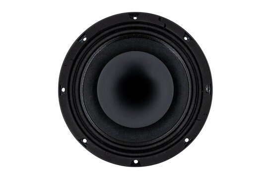 8CX300Fe Coaxial Woofer