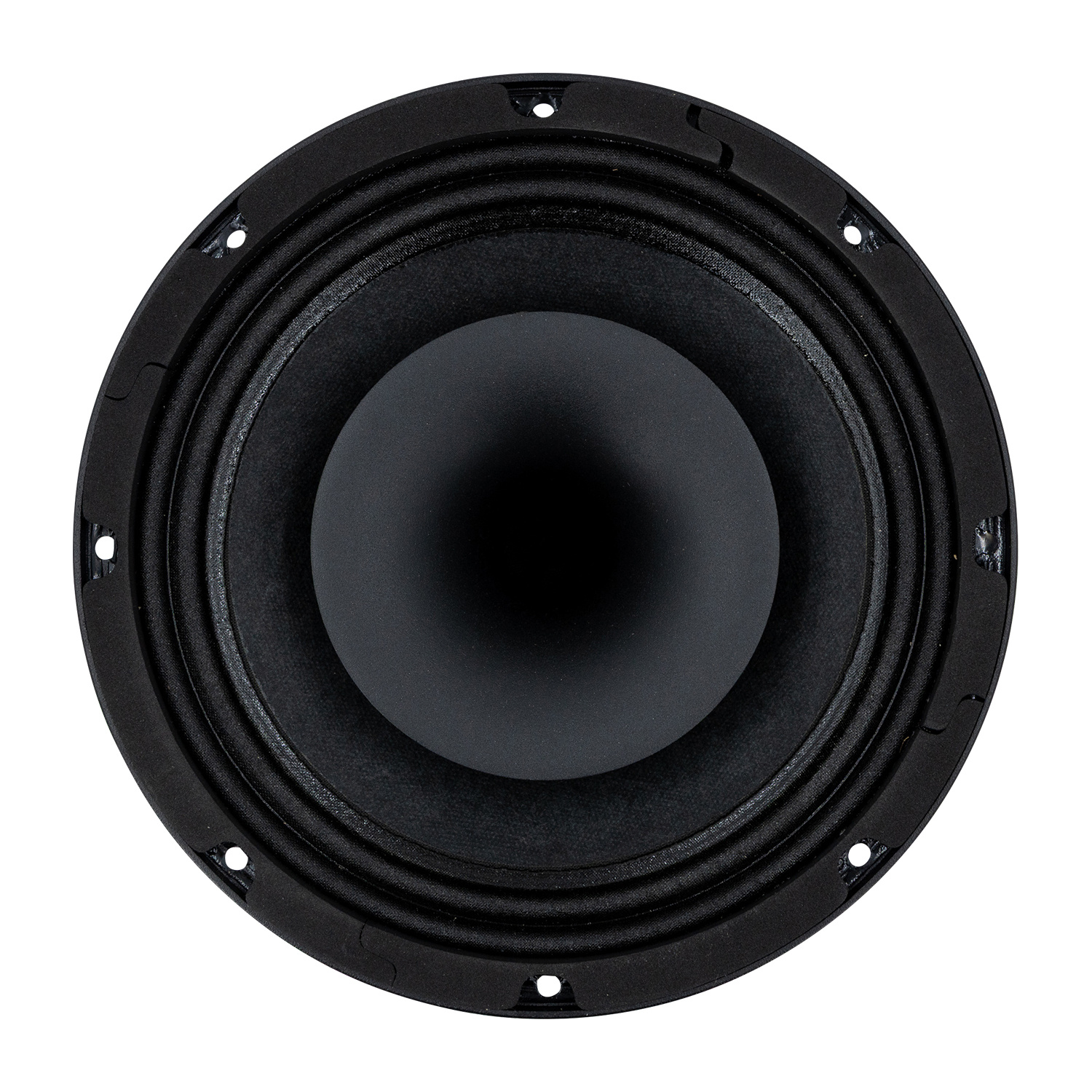 8CX300Fe Coaxial Woofer