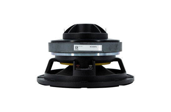 8CX300Fe Coaxial Woofer