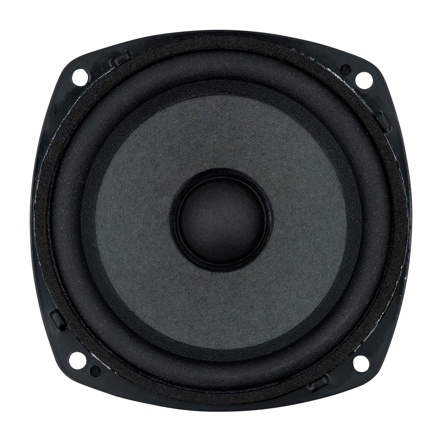 4FR40 Full-range Woofer