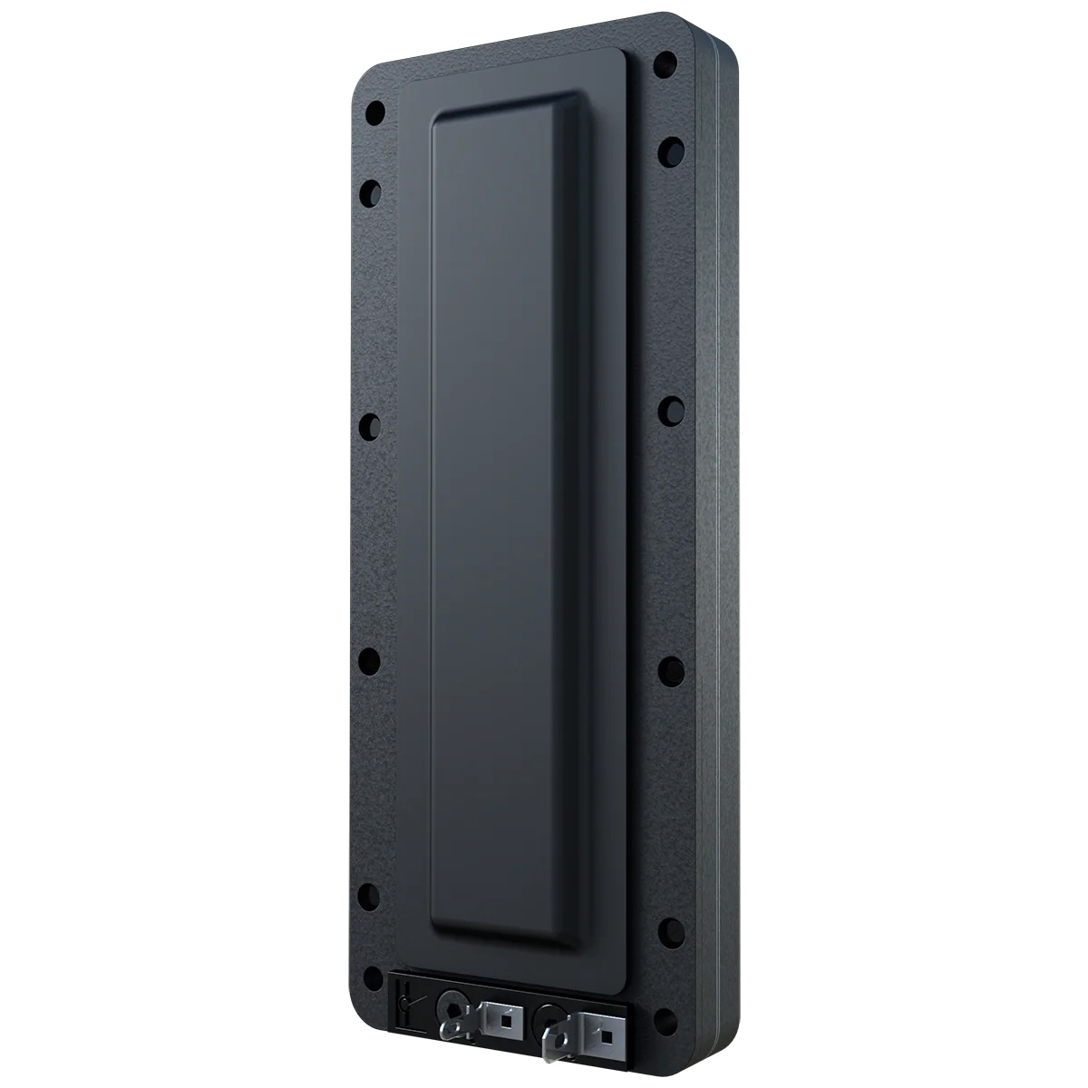 LT6 Planar Ribbon Tweeter