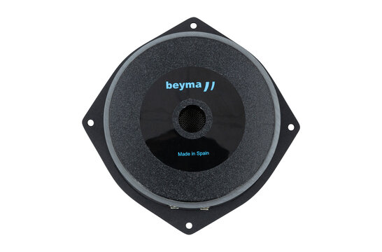 6P200Fe Bass-midwoofer